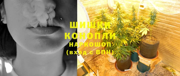 прущий лед Абаза